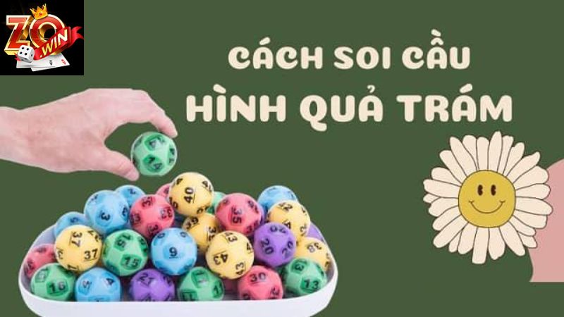 Cách soi cầu quả trám cho hội viên
